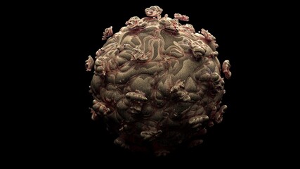 Obraz premium Natural killer body cell immune respone corona virus cell .concept covid-19 antibogy cytotoxic adaptive immune response.