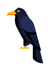 Illustration of stylized raven. Image of wild bird in simple style.