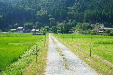 田舎の一本道