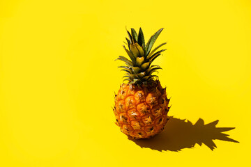 Ripe delicious pineapple casts a shadow on a yellow background, side view, place for text.