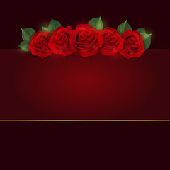Vector card with red roses background