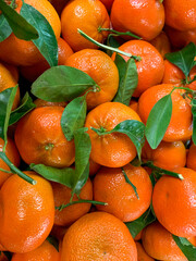 Fresh clementines with stems and leaves, ripe and ready at the market
