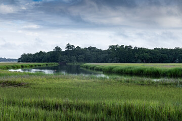 Fototapeta premium Orange crab buoy floats in the waterway of a salt marsh, early morning Mount Pleasant South Carolina, horizontal aspect