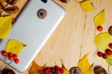 Selective focus smartphone, yellow, red, green, brown autumn leaves, chestnuts, rowan, acorns on wooden table. Device for online communication. Autumn mood composition with copy space. 