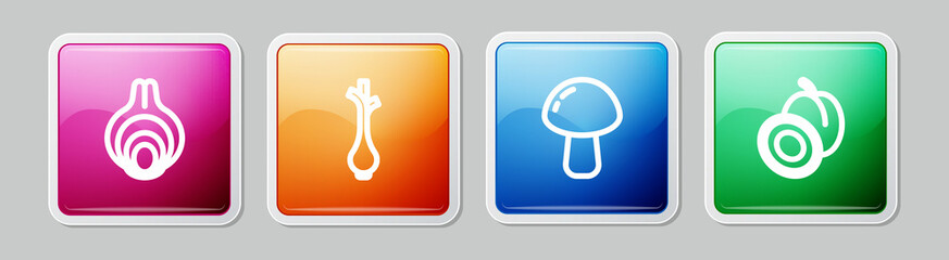 Set line Onion, Fresh green onions, Mushroom and Plum fruit. Colorful square button. Vector