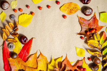 Autumn composition. Selective focus yellow, red, green, brown autumn leaves, chestnuts, rowan, acorns on beige wooden background. Hugge concept with copy space. Top view, flat lay.