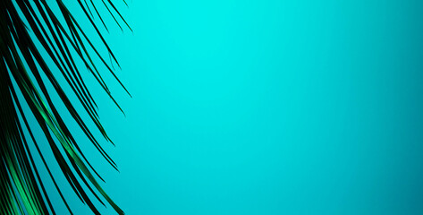 Fototapeta premium palm branch on a blue background. background texture. beautiful palm tree branch on sky background