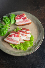 lard salted raw pork fat homemade meal snack on the table copy space food background rustic 