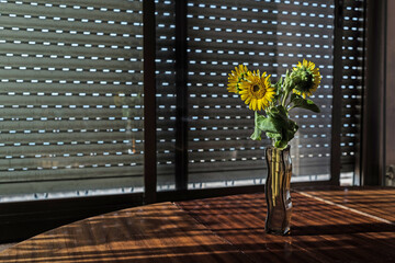 Barcelona, Spain: 08.17.2021; closed window and sunflowers
