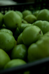 Green tomato (unripe) in wicker basket on wooden background. Unripe green tomato in bowl for fried dish or salted pickled vegetables. Raw green tomato on table for dinner