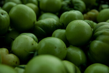 Green tomato (unripe) in wicker basket on wooden background. Unripe green tomato in bowl for fried dish or salted pickled vegetables. Raw green tomato on table for dinner
