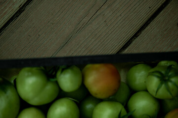 Green tomato (unripe) in wicker basket on wooden background. Unripe green tomato in bowl for fried dish or salted pickled vegetables. Raw green tomato on table for dinner