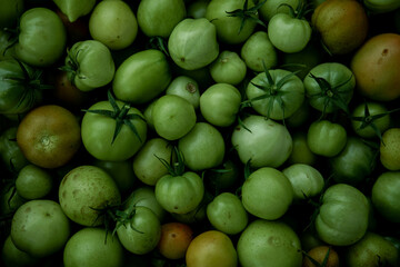 Green tomato (unripe) in wicker basket on wooden background. Unripe green tomato in bowl for fried dish or salted pickled vegetables. Raw green tomato on table for dinner