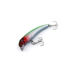 Fish fishing bait.