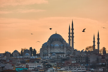 Fototapeta na wymiar The beautiful Suleymaniye Camii Istanbul, Turkey.