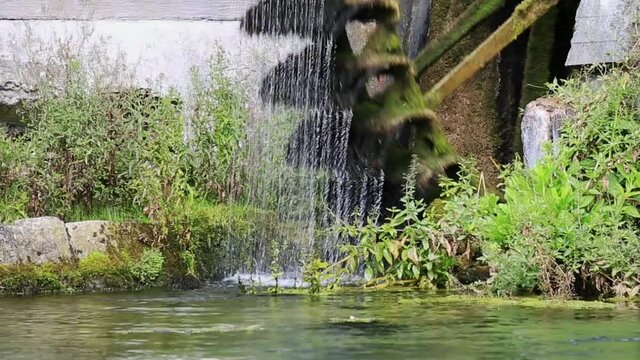 Forellen Hammerm&uuml;hle in Blaubeuren am Blautopf
