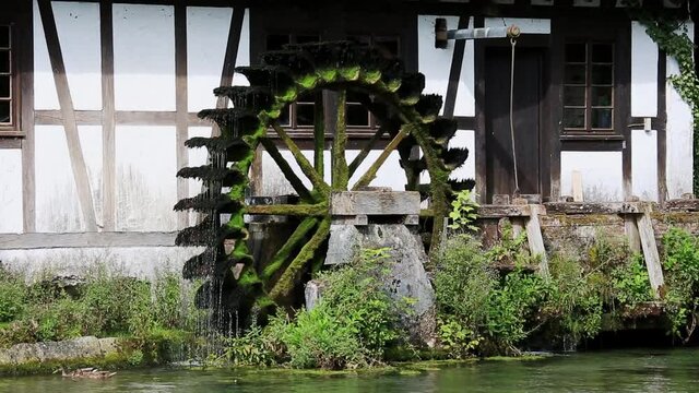 Forellen Hammerm&uuml;hle in Blaubeuren am Blautopf