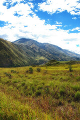 Fototapeta na wymiar Wamena Landscape view, Papua Indonesia