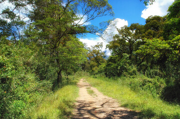 Fototapeta na wymiar Jungle road in Wamena Indonesia.