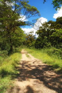 Jungle Road In Wamena Indonesia.