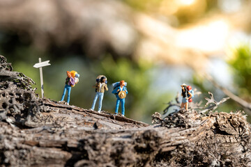 Young people with backpacks walking in the forest