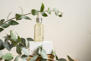 A bottle of essential oil with fresh eucalyptus leaves - obrazy, fototapety, plakaty