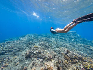 Woman snorkeling underwater above R&eacute;union island coral reef