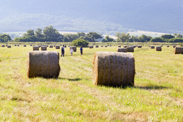 drei kinder wandern auf der wiese