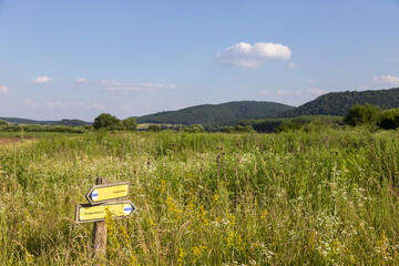 a view of the mountain