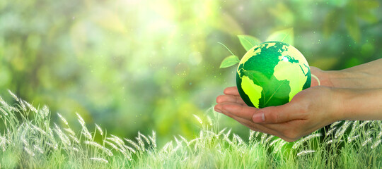 hand holding a globe and leaves Green nature background and grass. The concept of save the world and the environment.