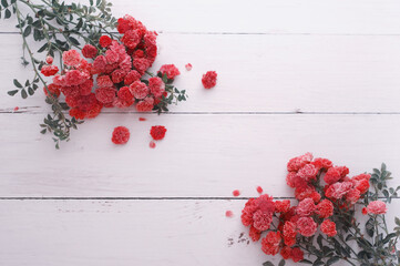Kwiaty Róże leżące na deskach.  - obrazy, fototapety, plakaty