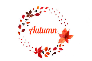 Wreath made of autumn leaves, berries. Flat lay, copy space, isolated