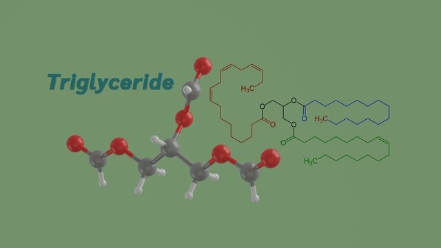 Triglyceride or triacylglycerol lipid science chemical structure formula and model 3D rendering illustration
