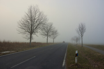Auto fährt auf einer Landstraße im Nebel im Winter, Gefahren, Straßenverkehr, Verkehrssicherheit