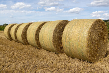 A row of straw bales in a field in idyllic late summer 