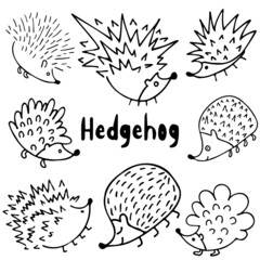 Set of hedgehogs on white background. Vector hand-drawn doodle illustration.