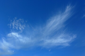 Natural scenery during the day