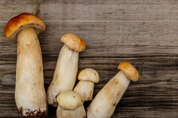 Freshly picked porcini mushrooms on rustic wooden table. Top view