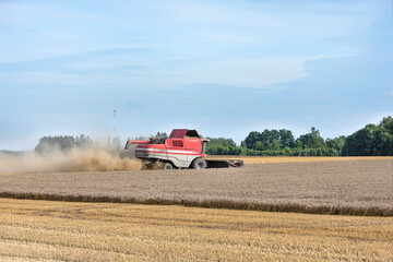 Harvest season, combine for harvesting a wheat field. Combine harvester is an agricultural machine that harvests ripe wheat.