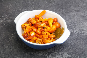 Marinated pickled honey mushrooms in the bowl