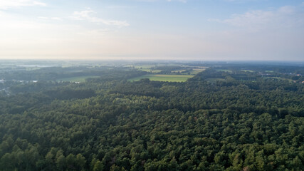 Naklejka premium Aerial view with a drone of a spring wavy agricultural countryside landscape with plowed and unplowed fields and trees in the blue evening sky. High quality photo