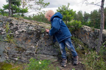 Little boy in blue denim clothes examines the grass on the rock 