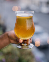 Refreshing pilsner beer with foam.