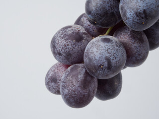 Dark blue grapes isolated on a white background. Wet fruits. With the cutting of the trajectory. Full depth of field.