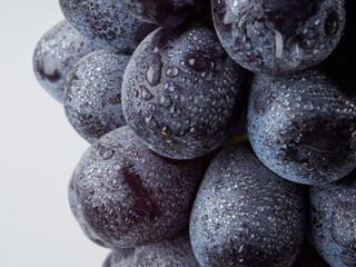 Dark blue grapes isolated on a white background. Wet fruits. With the cutting of the trajectory. Full depth of field.