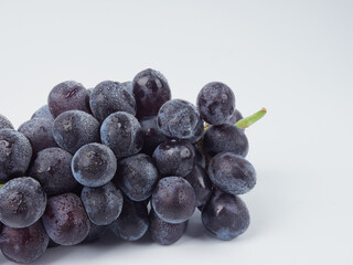 Dark blue grapes isolated on a white background. Wet fruits. With the cutting of the trajectory. Full depth of field.