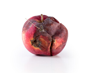 spoiled apple. rotten apple fruit. side view rotten apple on a white background
