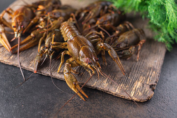 crayfish fresh seafood ready to cook raw product meal snack on the table copy space food background rustic 