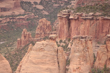Red Rocks Focus