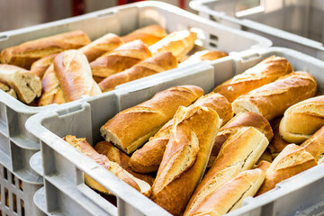 Local hamburgueseria mapamundi